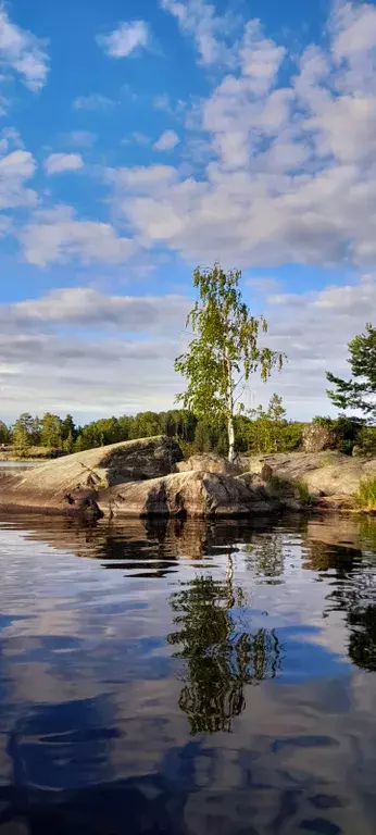 дом р-н Лахденпохский п Асилан 14Б, Куркиеки фото 31