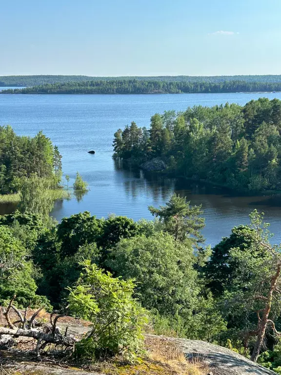 дом р-н Лахденпохский п Асилан 14Б, Куркиеки фото 33