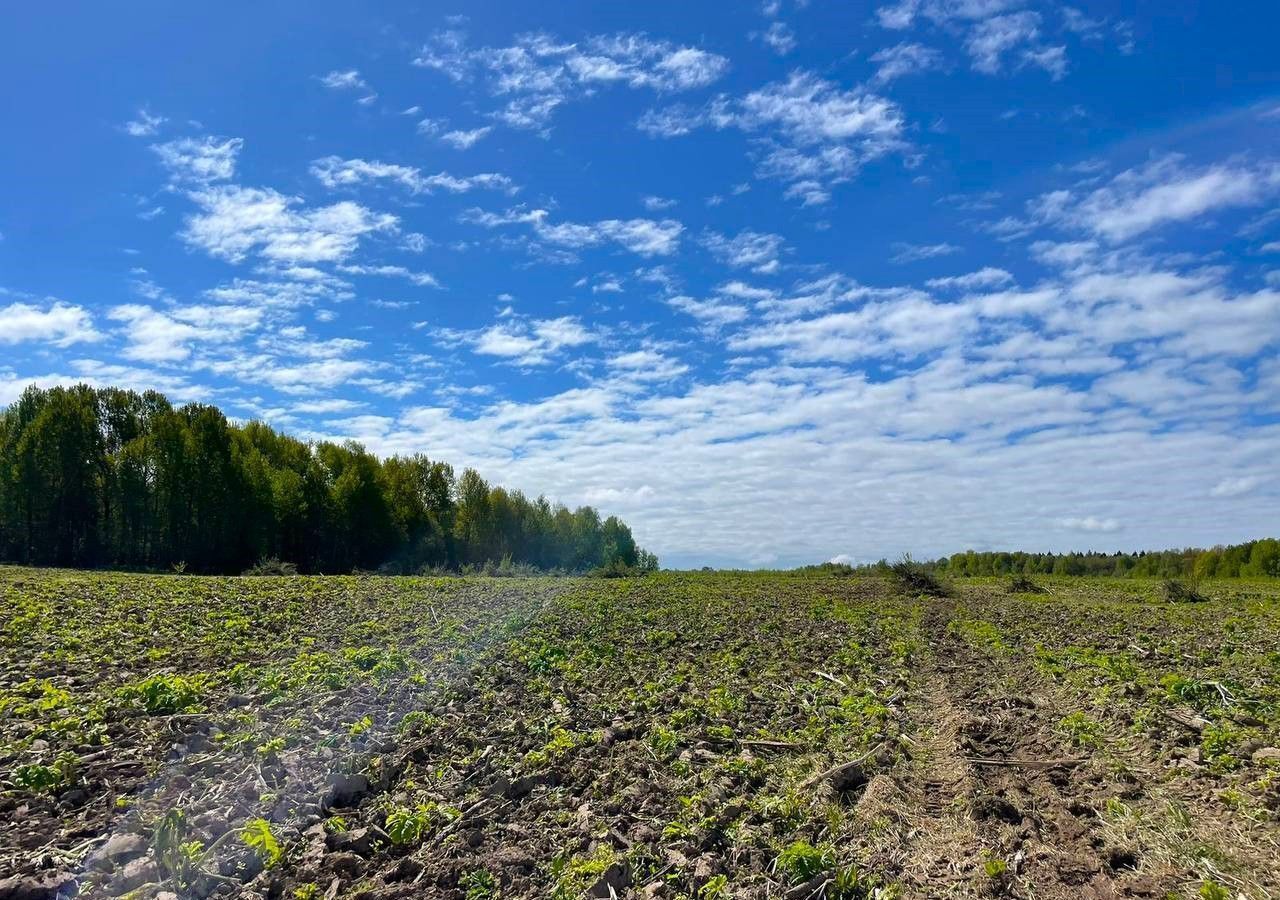 земля городской округ Клин д Золино 64 км, Клин, Рогачёвское шоссе фото 39