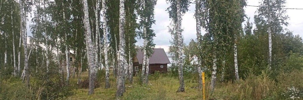 дом р-н Новосибирский с Марусино ул Толстого Криводановский сельсовет фото 5