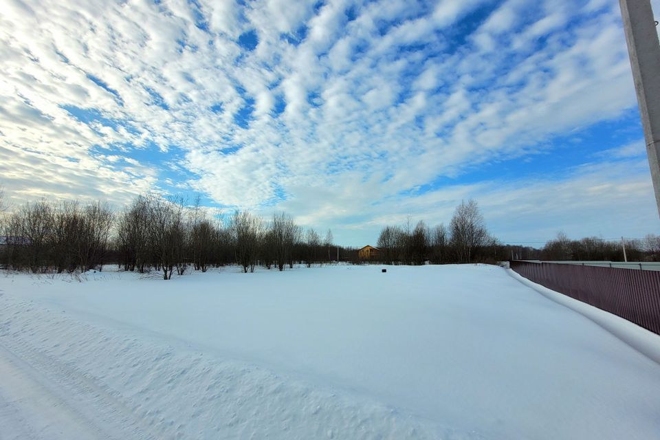 земля городской округ Раменский д Вишняково ул Абрикосовая 21 фото 1