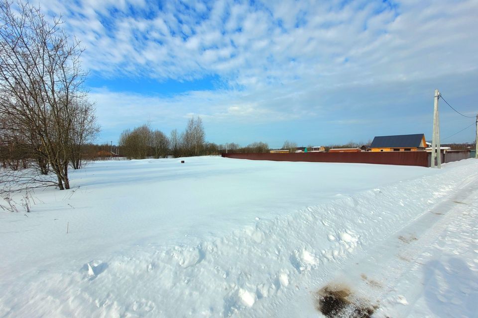 земля городской округ Раменский д Вишняково ул Абрикосовая 21 фото 4