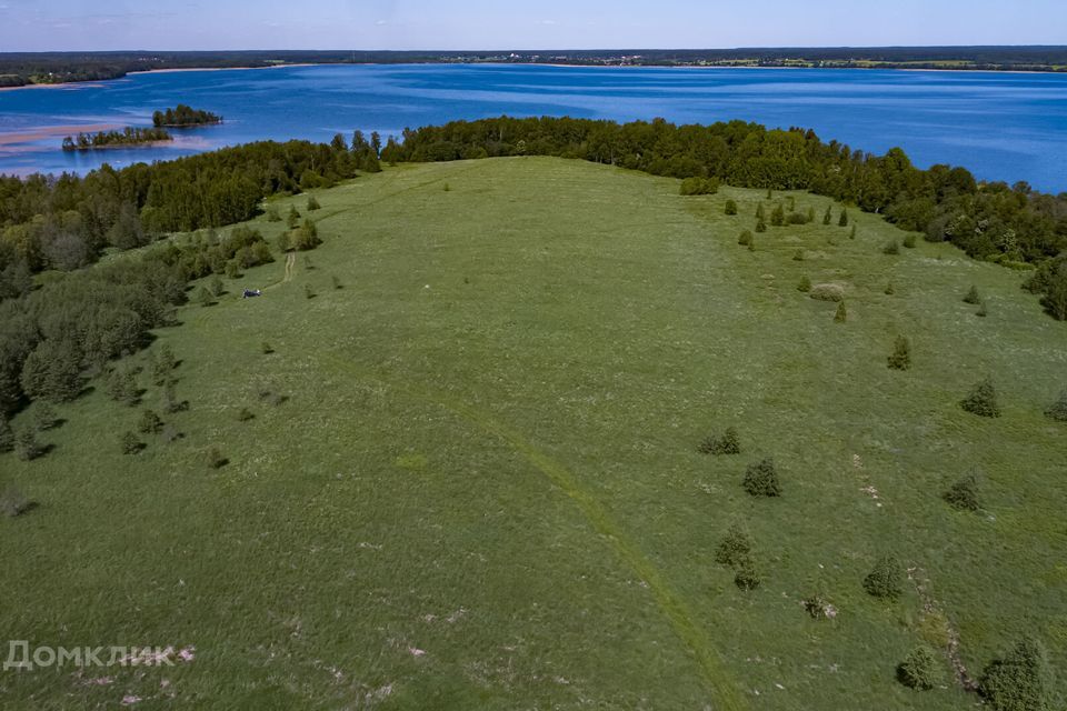 земля р-н Приозерский фото 4