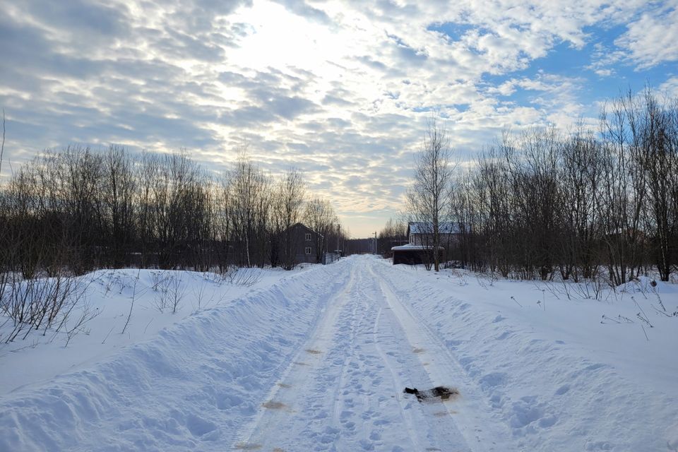 земля городской округ Раменский д Вишняково ул Абрикосовая 21 фото 6