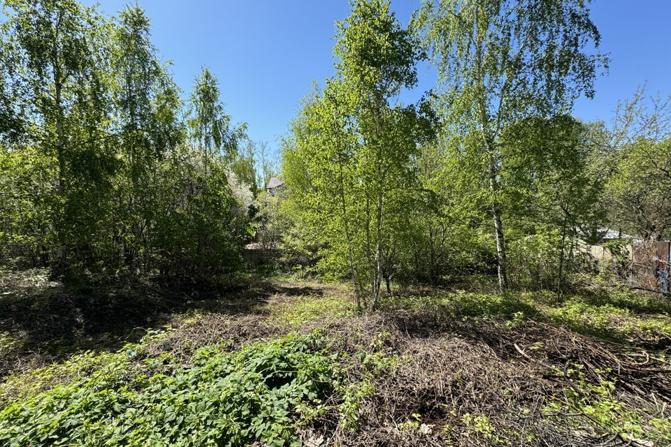 земля городской округ Ленинский СНТ Мамоновский Овраг фото 8