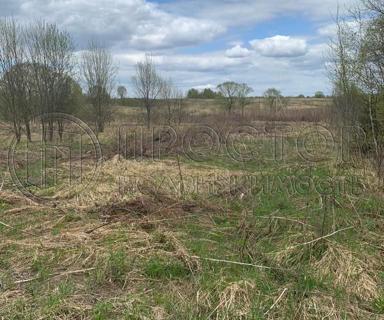 земля городской округ Наро-Фоминский деревня Кузьминское фото 2