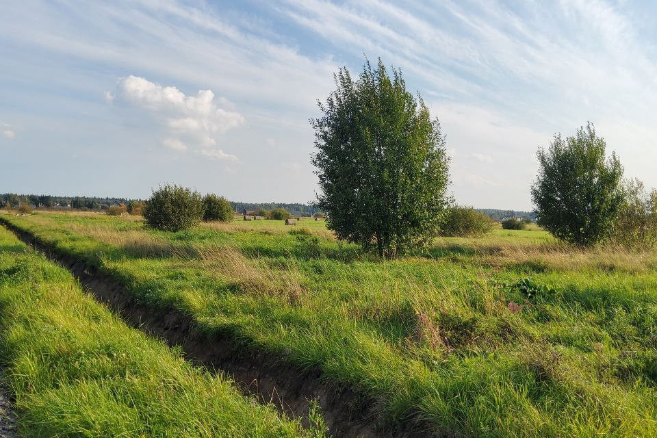 земля р-н Тосненский фото 9