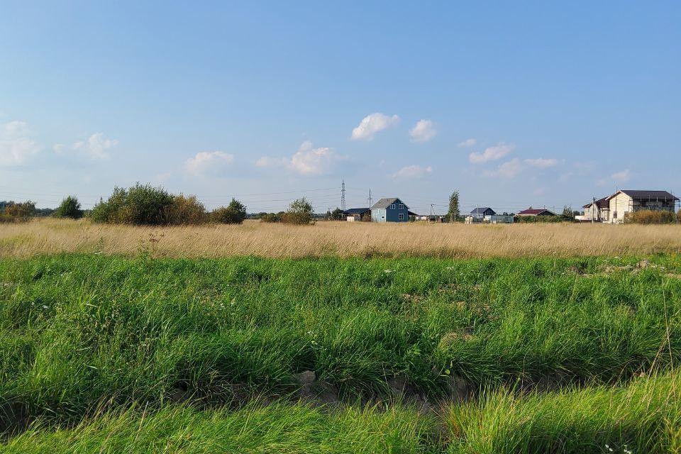 земля р-н Тосненский фото 7