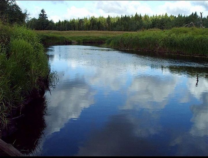 дом р-н Сланцевский г Сланцы ул Поселковая 2а фото 10