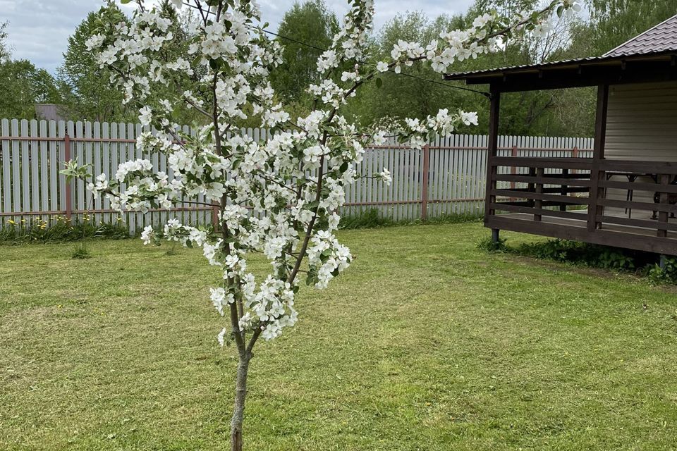 дом городской округ Лотошино деревня Палкино фото 10