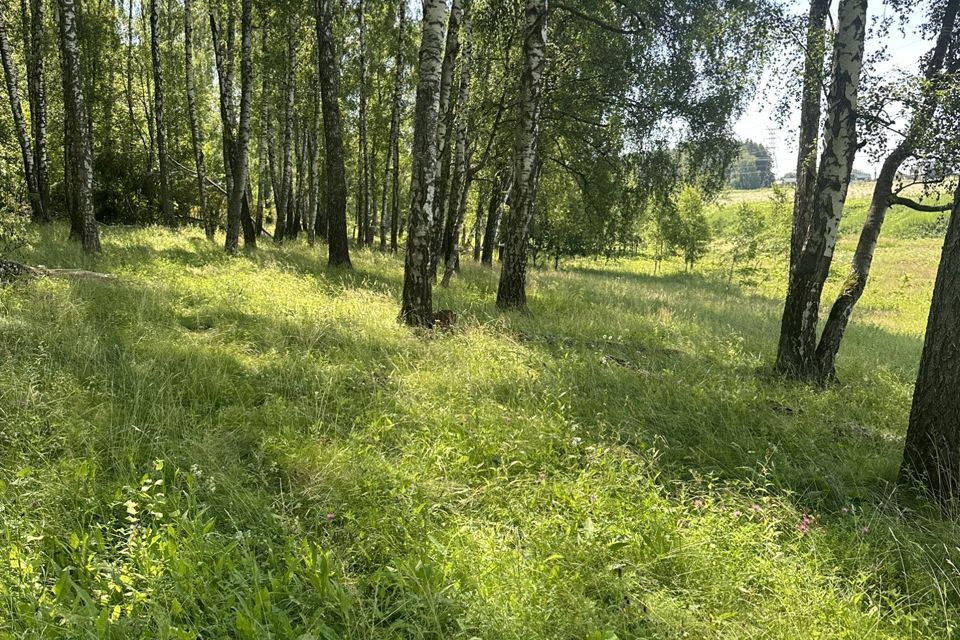 дом г Домодедово Новое Косино, городской округ Домодедово фото 10