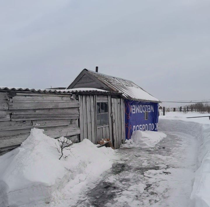 дом р-н Топкинский с Черемичкино ул Центральная фото 2