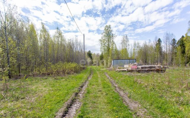 садоводческое товарищество Возрождение фото