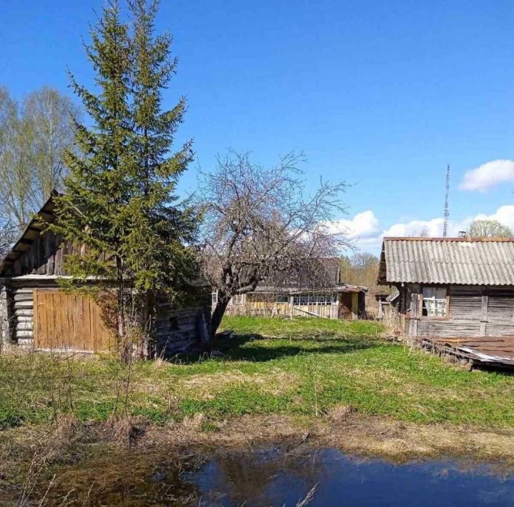 земля р-н Гдовский д Трутнево Юшкинская волость фото 2