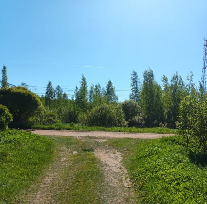 земля р-н Маловишерский ж/д_ст Гряды Большевишерское городское поселение фото 8