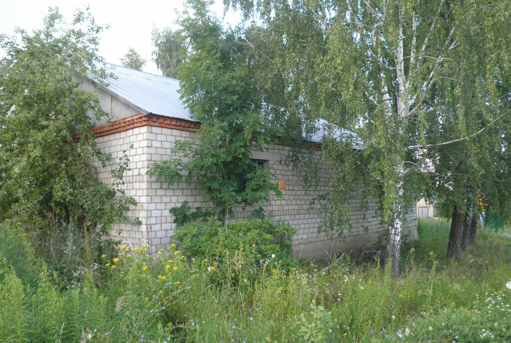 свободного назначения р-н Мценский д Большая Каменка ул Новая 4 фото 8