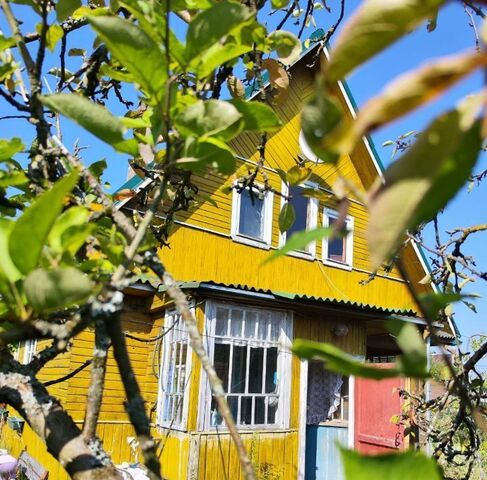 массив Восход снт Треугольник Синявинское городское поселение фото