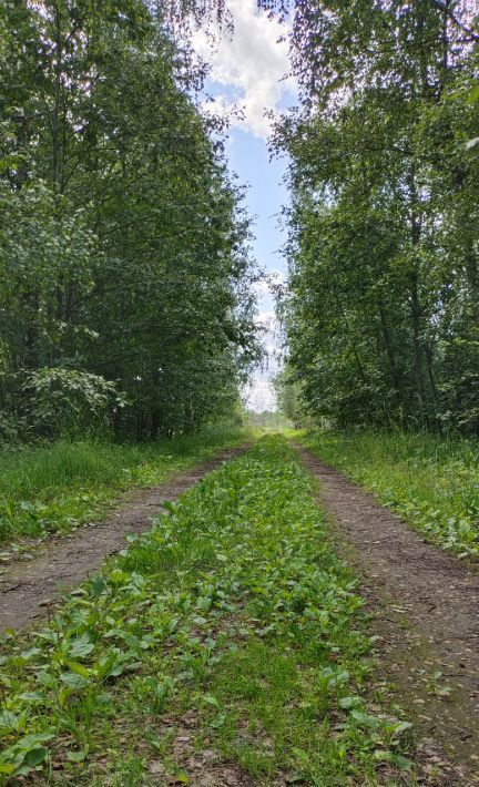 земля р-н Тосненский д Ладога пер 5-й Гранитный 1 Федоровское городское поселение фото 29