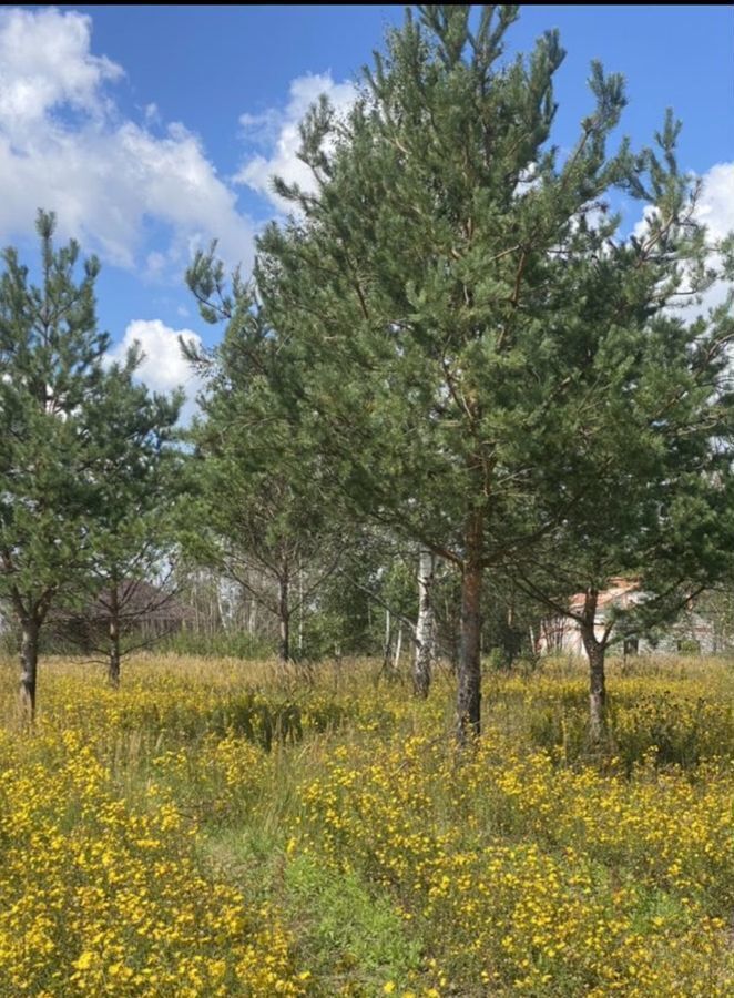 земля городской округ Раменский 9754 км, коттеджный пос. Дергаево-2, Раменское, Егорьевское шоссе фото 7