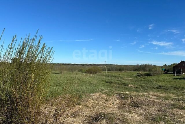 р-н Грязовецкий деревня Покровское Юровский сельсовет фото