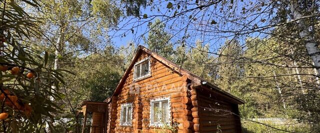 снт Починки Коломна городской округ фото