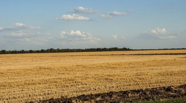 Родионово-Несветайская, Большекрепинское сельское поселение фото