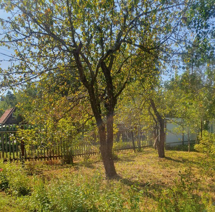 дом городской округ Богородский Железнодорожная, Спутник СНТ фото 45