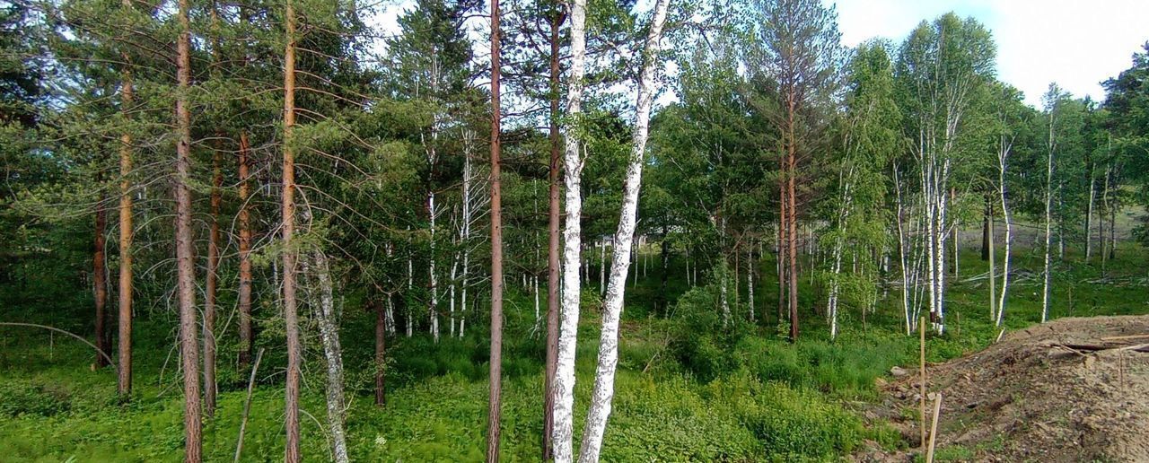 дом р-н Иркутский рп Маркова днт Кристалл пр-д Березовый Марковское муниципальное образование фото 18