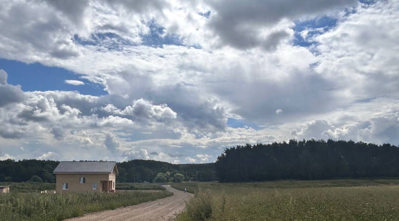 земля городской округ Домодедово с Успенское 895, Барыбино кп фото 4