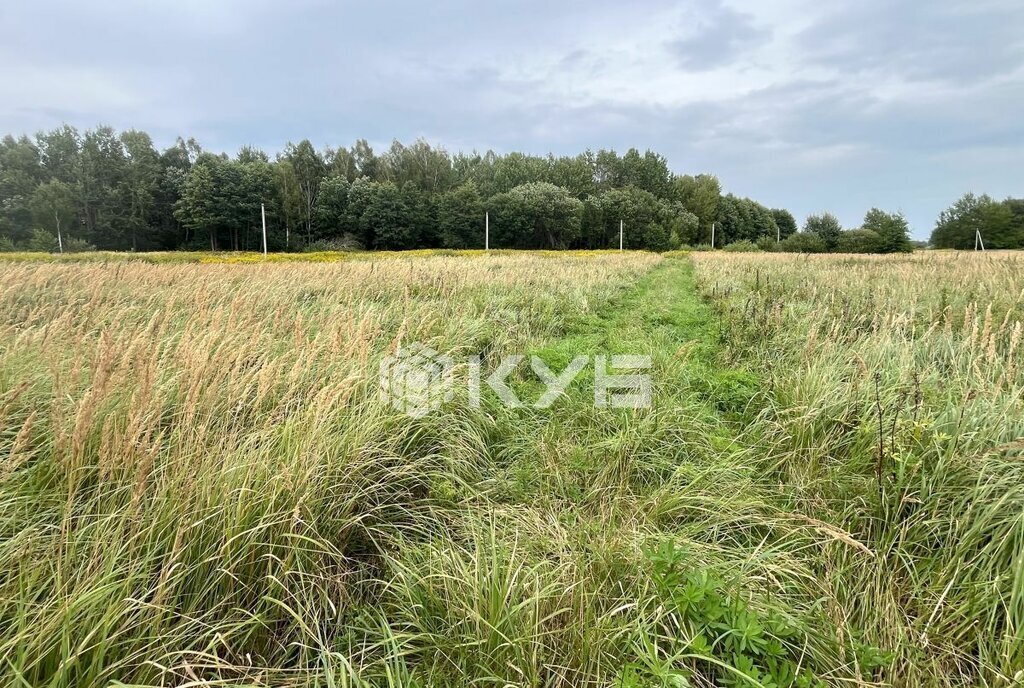 земля р-н Багратионовский п Нивенское ул Советская фото 8