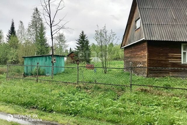 садоводческое товарищество Клён фото