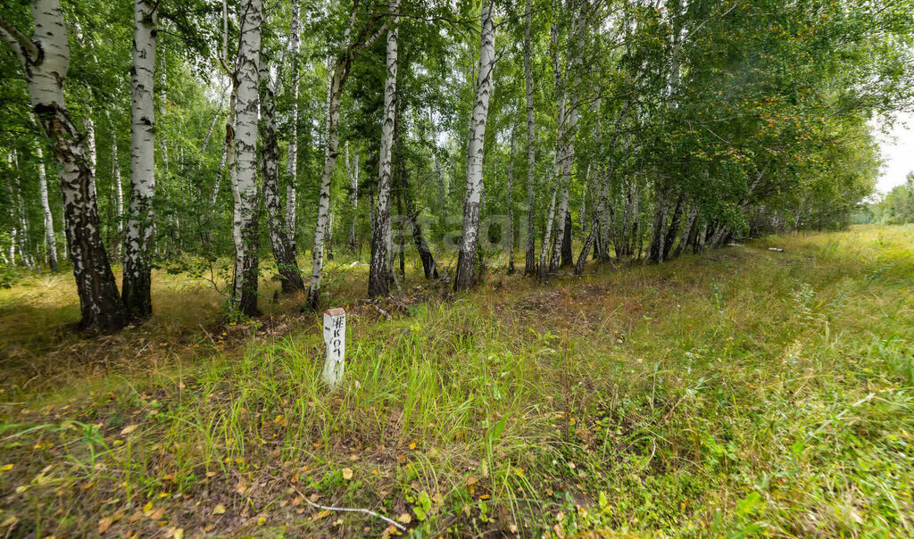 земля р-н Мишкинский с Восход ул Юбилейная фото 13