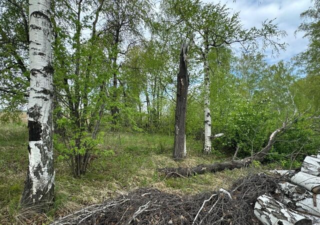 сельское поселение Барлакский сельсовет, коттеджный пос. Времена года фото