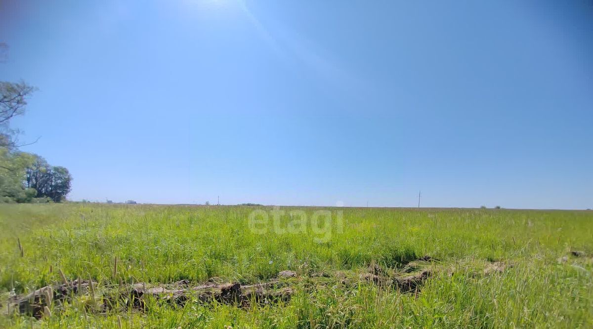 земля городской округ Коломенский д Андреевка Коломна городской округ фото 1