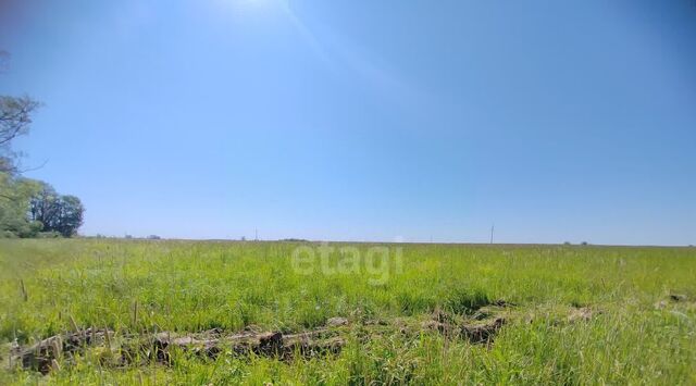 земля Коломна городской округ фото