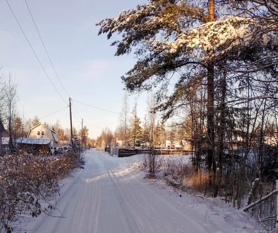 земля г Архангельск р-н Маймаксанский округ Повракульский, остров фото 1