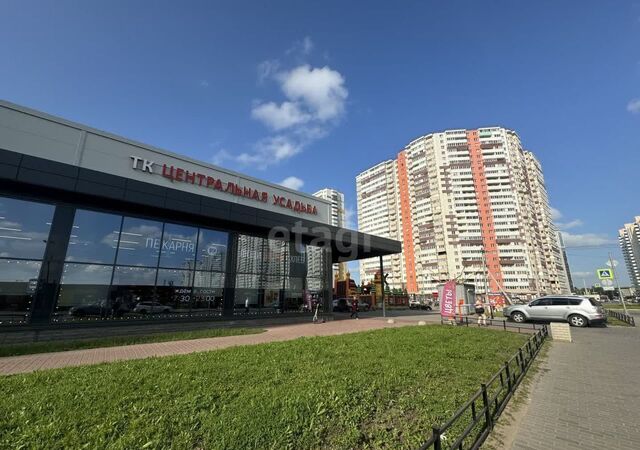 пр-кт Новгородский 6 метро Купчино р-н Пушкинский фото