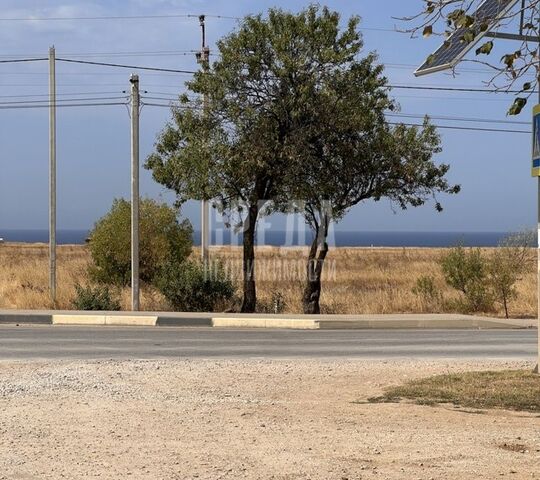 Нахимовский район, садоводческое товарищество Чайка-3 фото