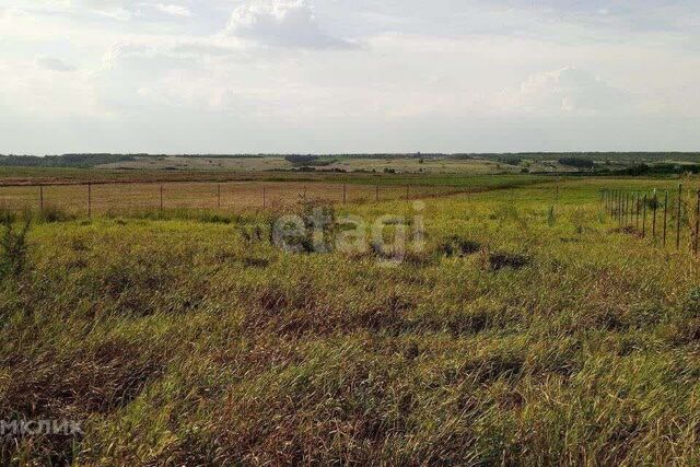 сад Комбайностроитель снт Комбайностроитель фото