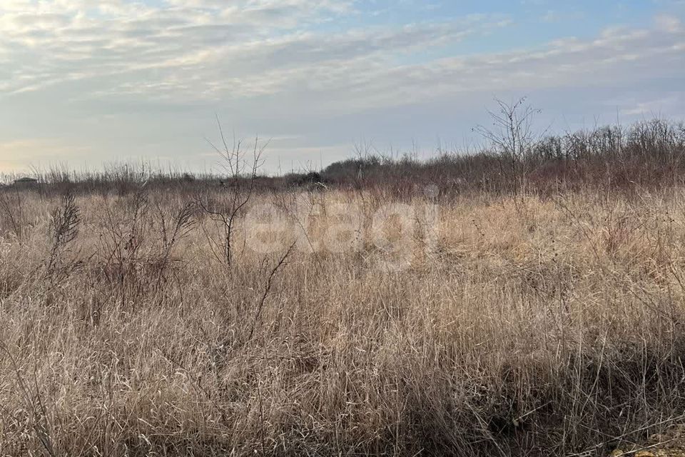 земля р-н Аксайский ст-ца Старочеркасская ул Вольная фото 1