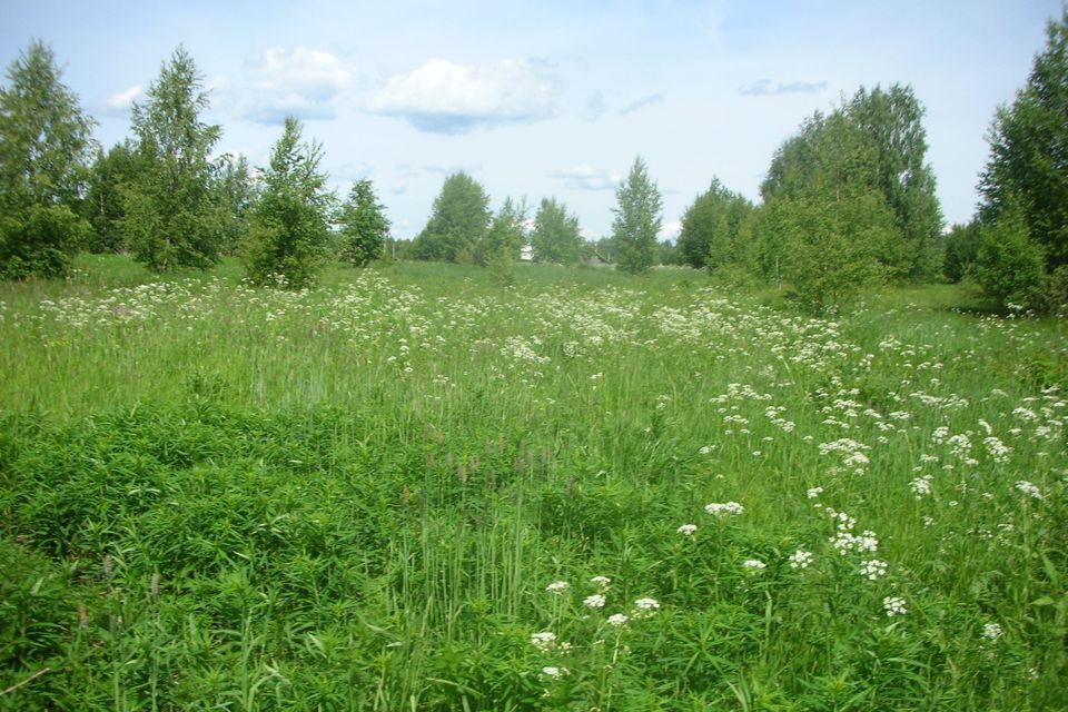 земля городской округ Переславль-Залесский, деревня Брынчаги фото 1