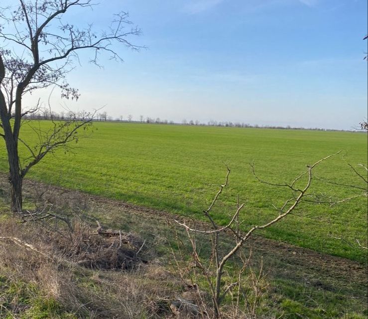 земля р-н Бахчисарайский село Береговое фото 1