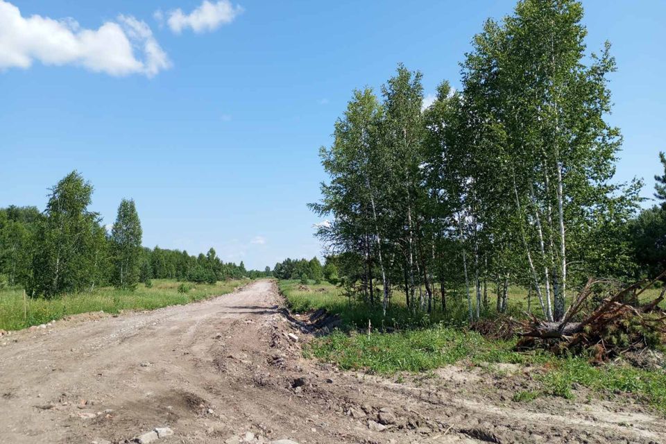 земля р-н Нижнетавдинский село Тюнево фото 2