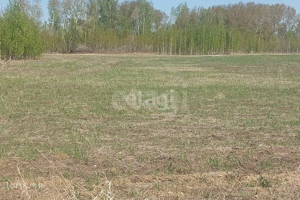 земля р-н Тюменский ДПК Новокаменский, Коттеджный посёлок Новокаменский фото 4