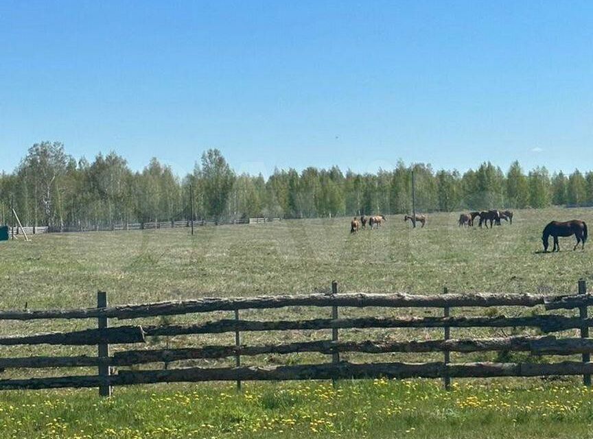 земля р-н Каслинский фото 2