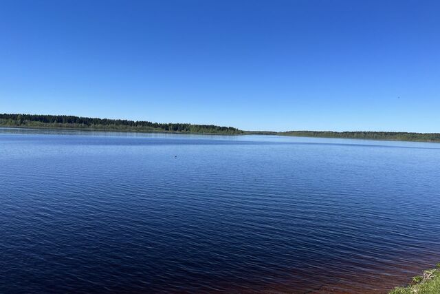 р-н Кувшиновский г Кувшиново ул Загорского 33 фото