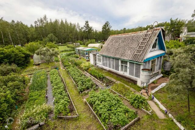 городской округ Комсомольск-на-Амуре, 10-я улица, садоводческое некоммерческое товарищество Строитель фото