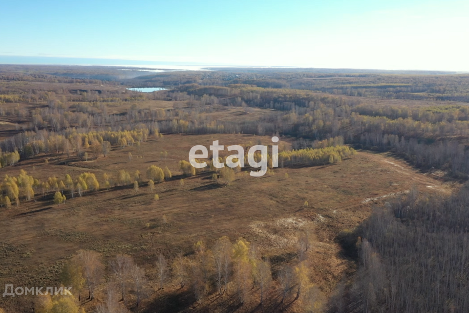 земля р-н Мошковский село Сокур фото 1