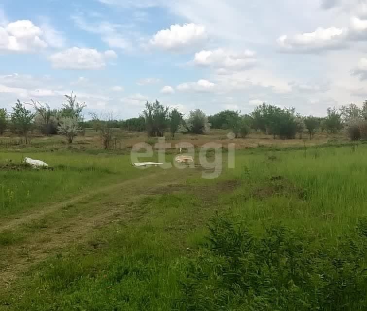 земля г Азов пер Соловьиный городской округ Азов фото 1