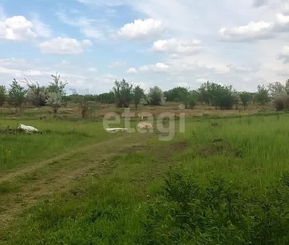 земля пер Соловьиный городской округ Азов фото